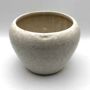 May include: A white ceramic planter with a textured, ribbed surface. The planter has a rounded shape and a wide opening.