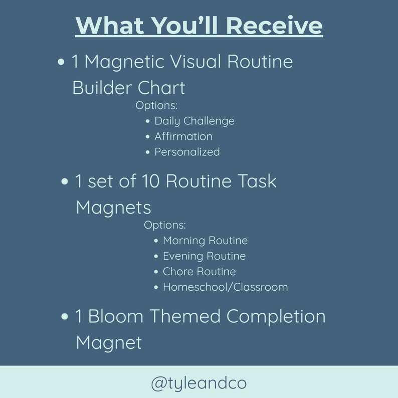 Magnetic Visual Routine Chart – Bloom Edition, Kids Daily Schedule - Etsy