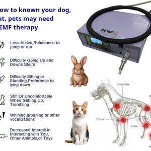 May include: An image showing a PEMF therapy device with a black coil, alongside illustrations of a dog and a cat. Text details signs that pets may need PEMF therapy, including reduced activity and difficulty moving. A rabbit is also pictured.