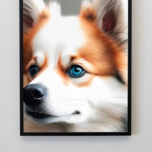 Pomsky Face