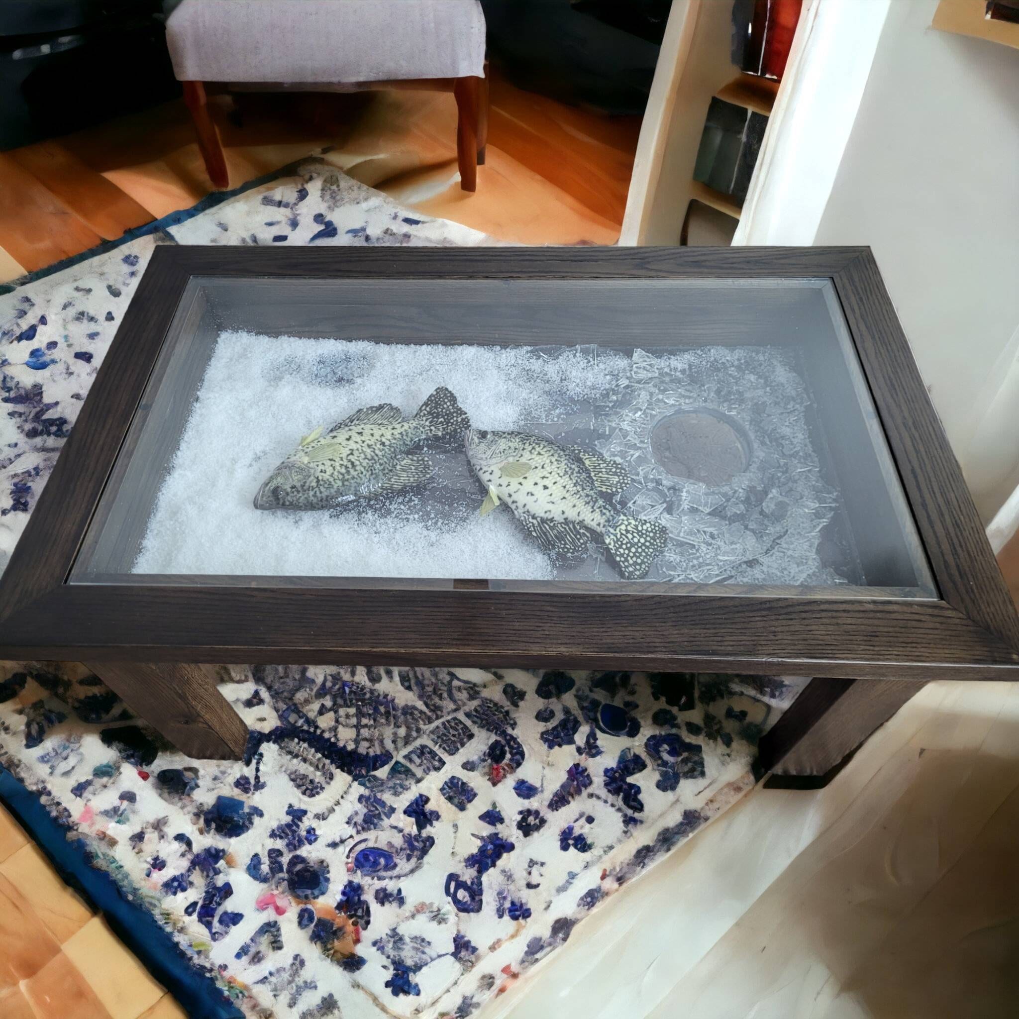 Coffee Table with Black Crappie Ice Fishing insert Taxidermy Reproduction