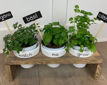 Wood Planter Pot Holder Herb Garden Kit / Indoor Garden / Seed Starter Kit