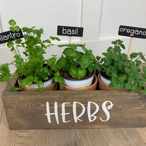 Houten plantenbak kruidentuinset / binnentuin / starterkit zaaien