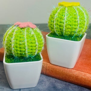 Crochet Cactus in Pot | Cute Home Decor and Office Desk Accessory, Gift Idea for Her, Knitted Amigurumi, Cute Ornaments, Cactus Decor