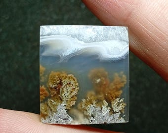 Moss Agate Gemstone Pendant: Science Cabochon (26x23x5 mm, 5.2 grams)