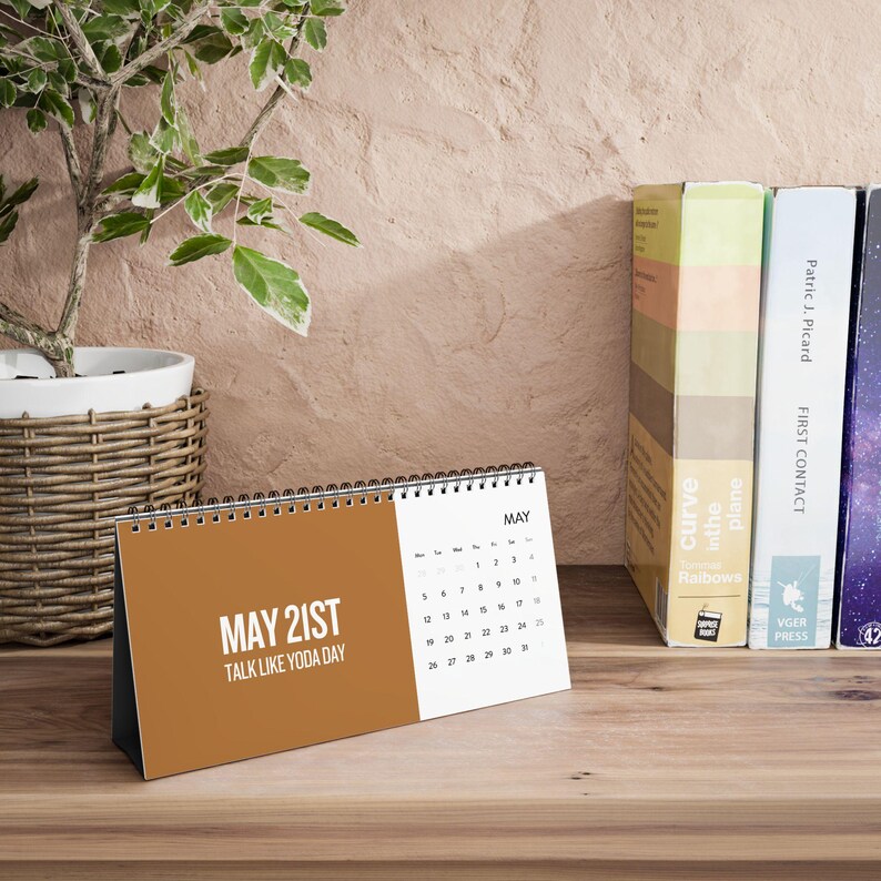 Random Holidays 2025 Calendar Funny Gifts Funny Calendar 2025 Office
