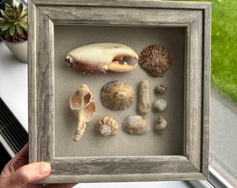 Shell Art • Handmade in Saltburn • Driftwood Art • Seaglass Art • Beachcombed Art