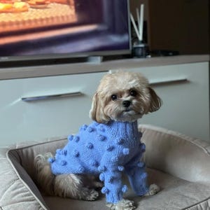 May include: A small, light-colored dog wearing a light blue sweater with textured, spherical accents. The dog is sitting on a gray, quilted pet bed. The sweater covers the dog's torso and front legs.