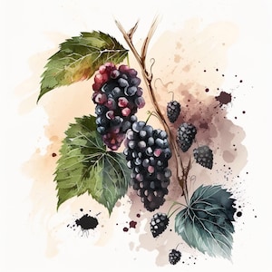 Mulberries Print | Watercolor | Digital Download | Digital Art | Fruit Art | Home Décor | Instant Printable