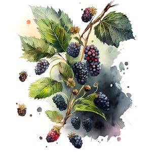 Mulberries Print | Watercolor | Digital Download | Digital Art | Fruit Art | Home Décor | Instant Printable