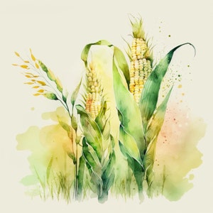 Corn Ears Watercolor [DIGITAL PRINT]