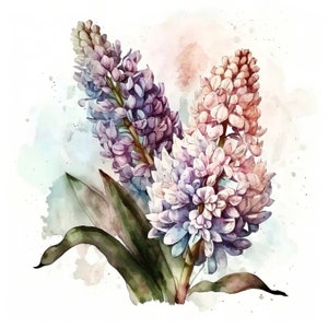 Hyacinth Print, Printable Wall Art, Watercolor Hyacinth Wall Decor, Flower Art Print, Instant Digital Download