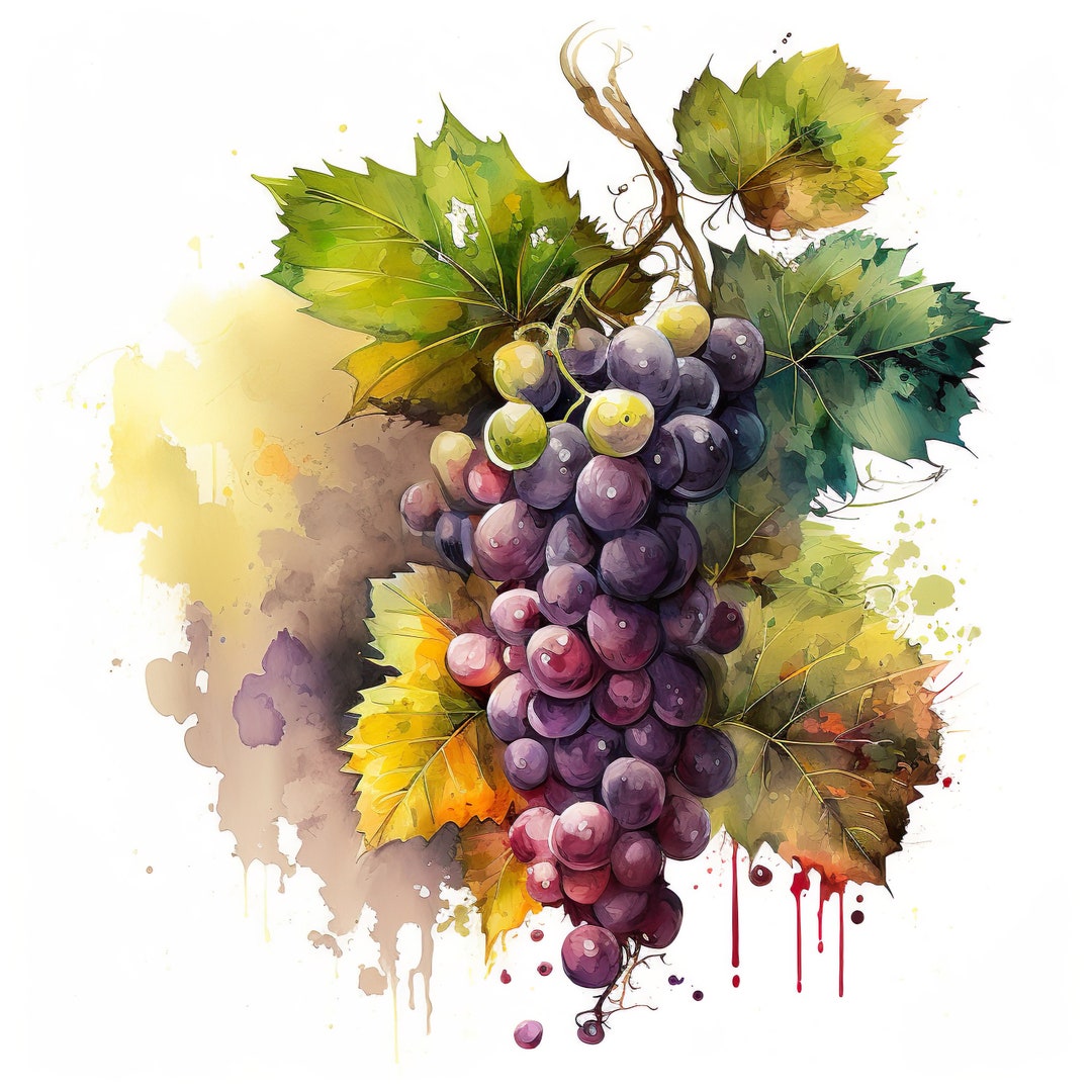 Grapes Watercolor [DIGITAL PRINT] - Etsy