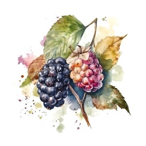 Mulberries Print | Watercolor | Digital Download | Digital Art | Fruit Art | Home Décor | Instant Printable