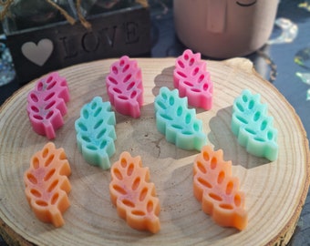 “Leaf” scented melt – Handmade vegetable wax | Eco-friendly wax melt | Scented homemade gift