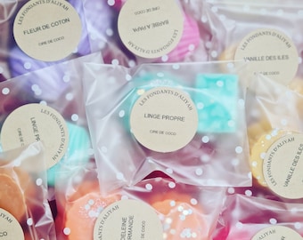 Set of 20 scented wax melts - Handmade vegetable wax