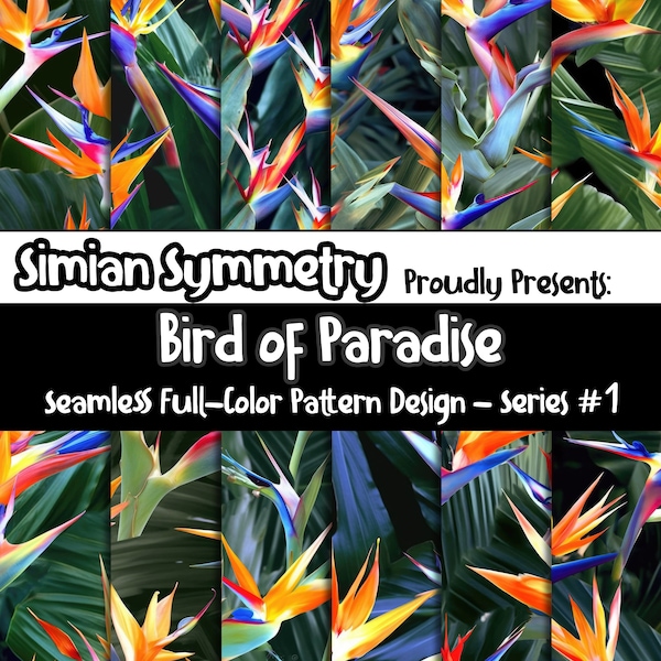 DIGITAL PAPER Bird of Paradise Series 1 | Seamless Designs | Twelve Colorful Patterns | Tile Patterns | Instant Download