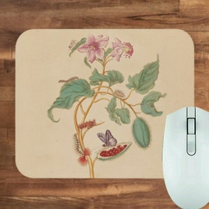 May include: A vintage botanical illustration of a plant with pink flowers, green leaves, and red berries. There are also several caterpillars and a butterfly on the plant.