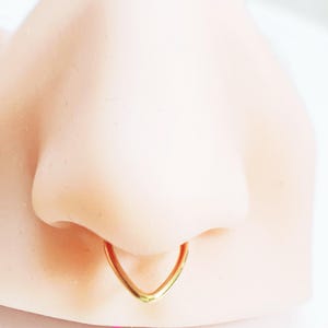 16g Dainty Conch,Tragus,Daith,Rook Piercing/Nose Ring/Septum/Cartilage Hoop/Hoop Earring