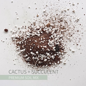 Cactus + Succulent Soil Mix - Soilless Gritty Potting Mix for Indoor Cacti Houseplants - Free Shipping Included