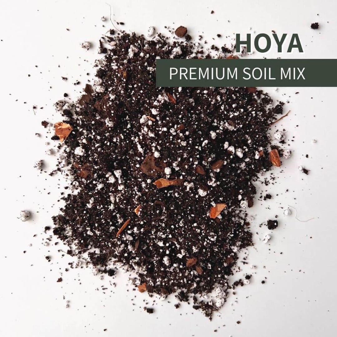 Hoya Soil Mix - Soilless Potting Mix for Indoor Tropical Houseplants ...