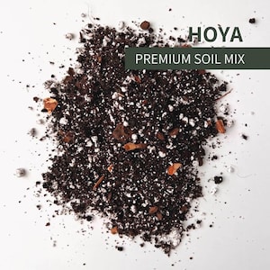 Mélange de terre Hoya - Rempotage sans sol pour plantes d'intérieur tropicales d'intérieur, calathéas, piées, fruits et légumes
