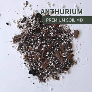 Anthurium Soil Mix - Soilless Aroid Potting Mix for Indoor Tropical Houseplants