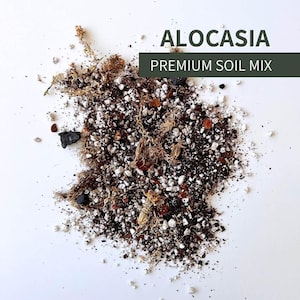 Alocasia Soil Mix - Soilless Potting Mix for Indoor Tropical Houseplants