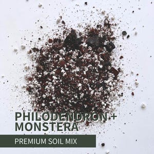 Aroid Soil Mix – Soilless Potting for Monstera, Philodendron