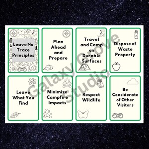 May include: Eight green and white illustrated cards with black text outlining the Leave No Trace principles for outdoor recreation. The principles are: Leave No Trace Principles, Plan Ahead and Prepare, Travel and Camp on Durable Surfaces, Dispose of Waste Properly, Leave What You Find, Minimize Campfire Impacts, Respect Wildlife, and Be Considerate of Other Visitors.
