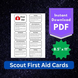 Könnte beinhalten: Ein weißes, druckbares PDF-Dokument mit dem Titel Scout First Aid Cards, das Anleitungen für Ohnmacht, Verstauchungen, Brüche, Verbrennungen, Nasenbluten, Bienenstiche, Schnitte, Schürfwunden, Kopfverletzungen, Blasen und Ersticken enthält, mit den Maßen 21,59 cm mal 27,94 cm.