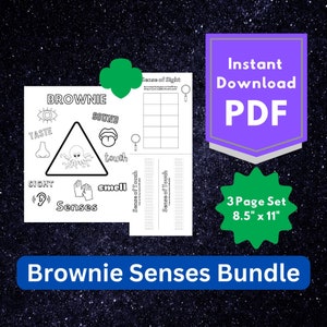 Girl Scouts Brownie Senses Badge Bundle - Coloring Page - Troop Meeting - Braille Activity Worksheet - Digital Download - Scavenger Hunt