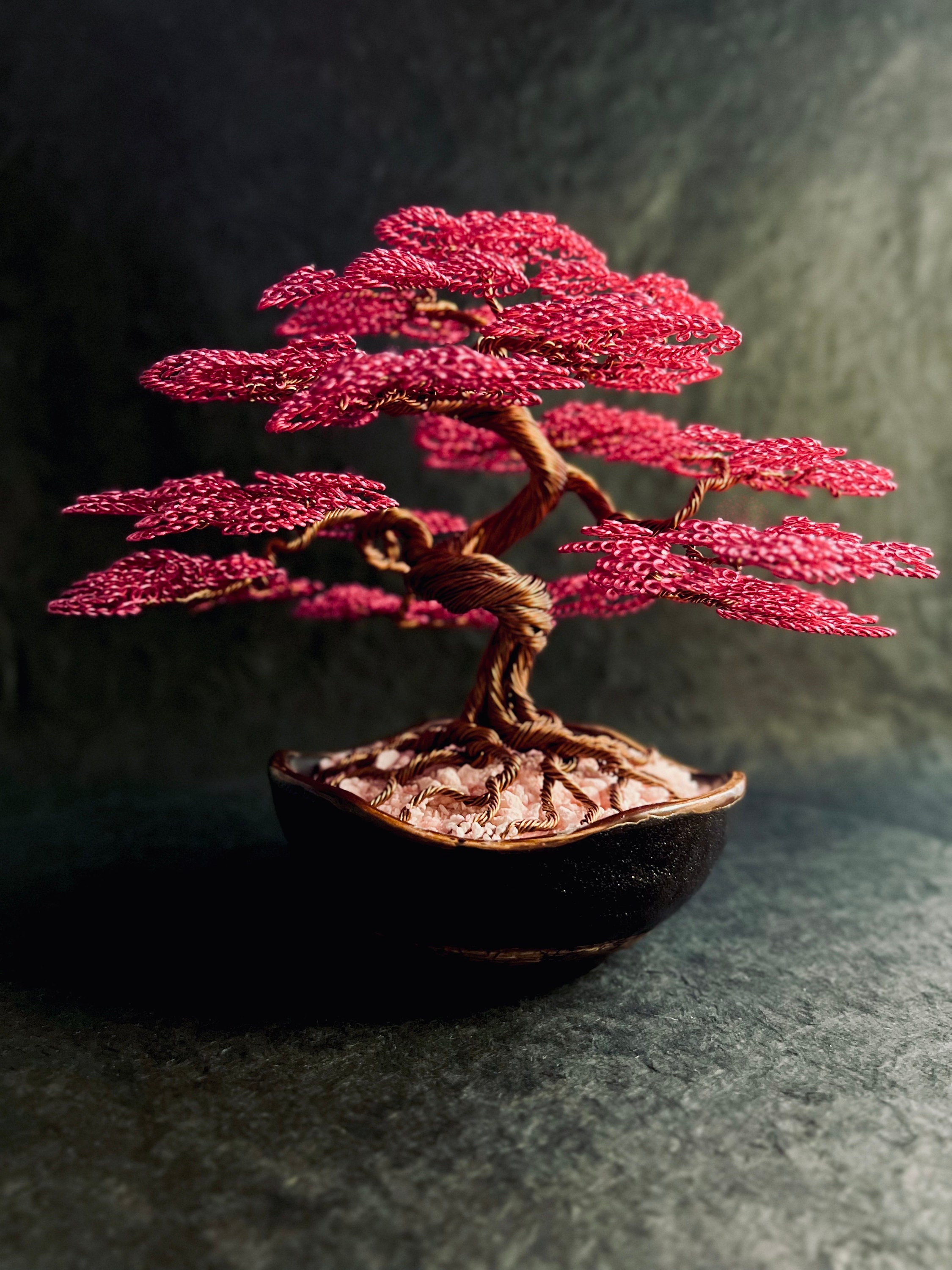 Moyogi Bonsai - Etsy Denmark