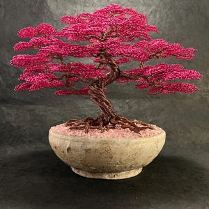 Moyogi Bonsai - Etsy