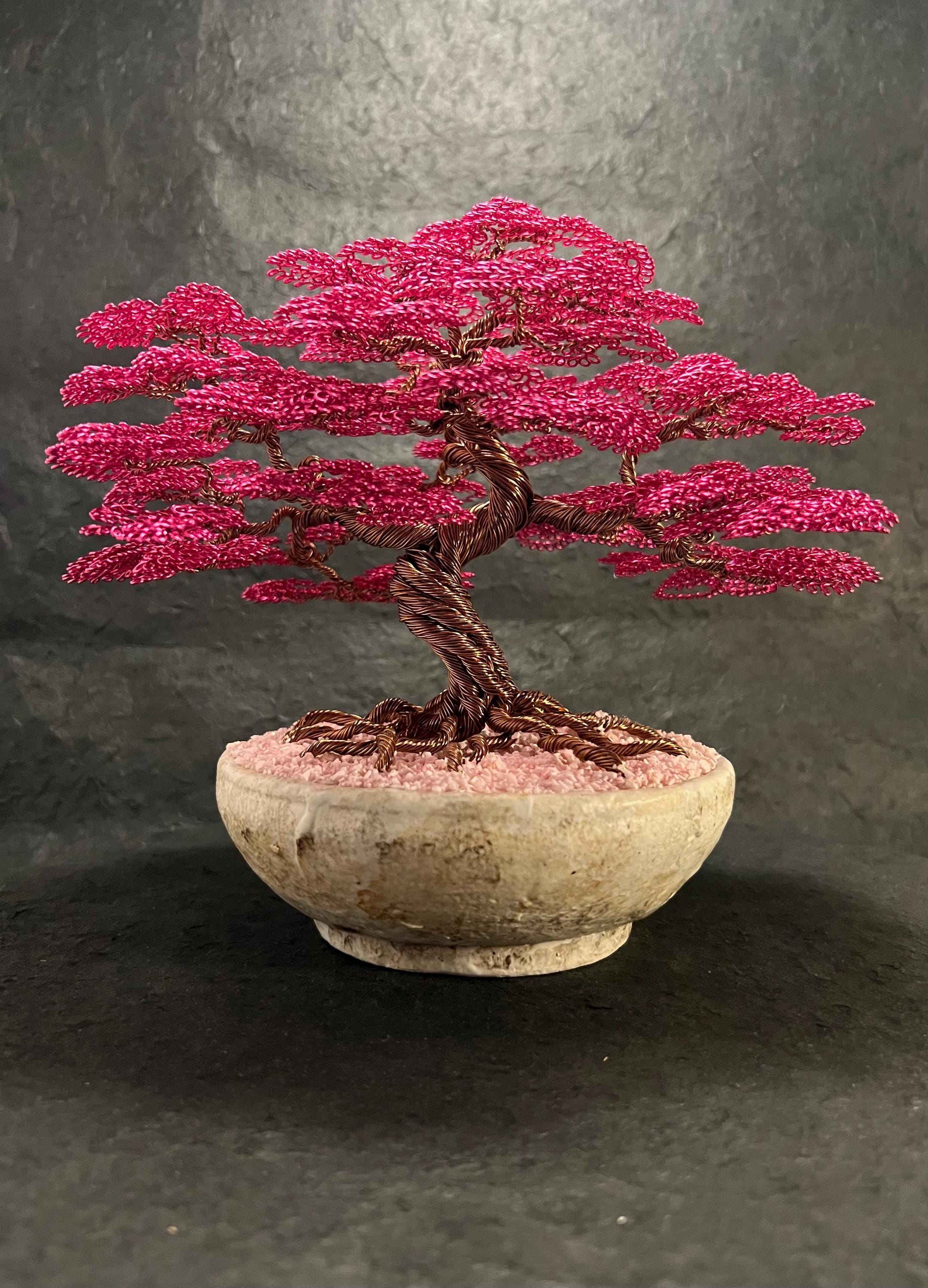 Moyogi bonsai - Etsy 日本