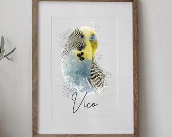 Custom Pet Portraits | Parrot Portrait | individual budgie portrait | Memorial Parrot Portrait | Parrot