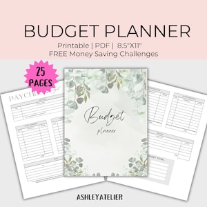 Budget Planner Printable PDF, Finance Planner, Bi-Weekly Budget, Monthly Budget, Weekly Budget, Paycheck Budget Printable, Budget Template