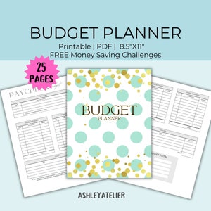 Budget Planner Printable PDF, Finance Planner, Bi-Weekly Budget, Monthly Budget, Weekly Budget, Paycheck Budget Printable, Budget Template