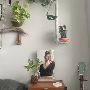 Valnötsdisplayställ