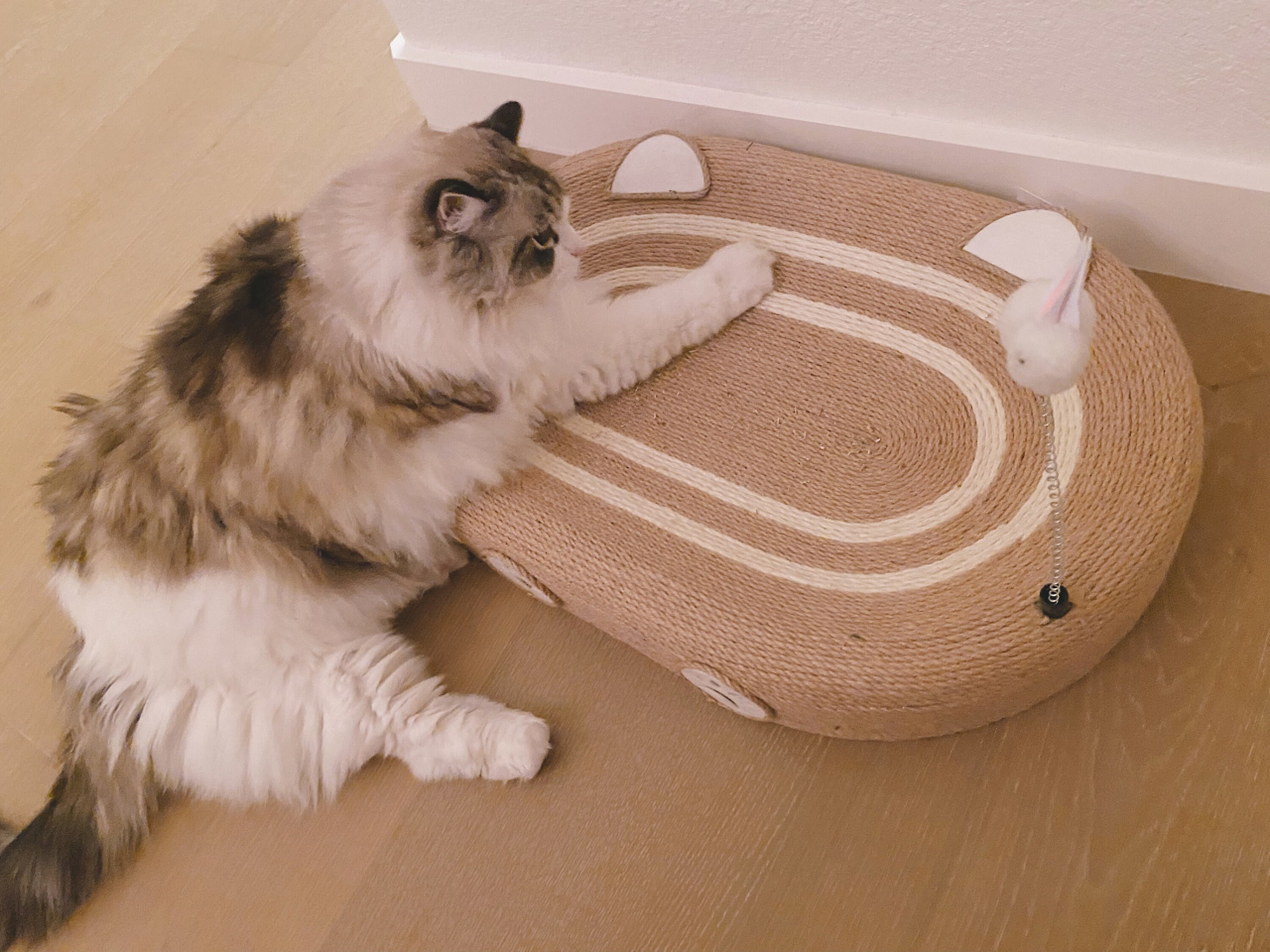 Furniture Protection Cat Scratcher ComSaf Sisal Cat Scratcher Bed - Oval Scratching Pad Lounge For Indoor Cats, Protects Furniture Sisal Cat Scratcher Lounge
