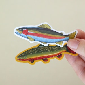 Aesthetic Trout Stickers | Brook Trout and Rainbow Trout | Outdoor Nature Stickers | Vinyl Sticker