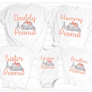 Elephant Baby Shower Family Bundle Iron On Transfers - PNG - Print On Demand - T-shirts - Heat Press - Download - Little Peanut Baby Shower