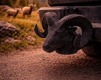 Osłona na hak holowniczy RAM Aries Dodge Cult V8 Pickup 50 mm Premium, ochronna nakładka, haczyk kulowy, akcesorium do przyczepy kempingowej, pomysł na prezent