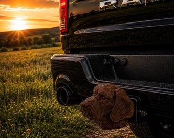 Copritesta a sfera per gancio di traino Vizsla a pelo duro Pudelpointer Griffon 50 mm tappo protettivo cane da caccia rimorchio accessorio regalo camper auto veicolo passeggeri