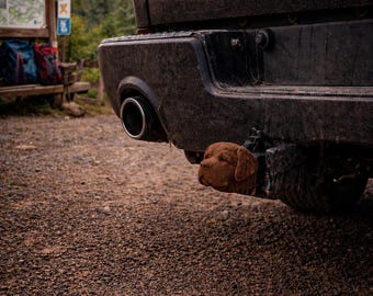St. Bernard Towbar Cover 50 mm Dog Dog Lover Premium Protective Cap Ball Head Accessory Caravan Trailer Gift Idea