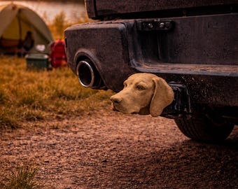 Pokrowiec na hak holowniczy dla psa myśliwskiego Vizsla, 50 mm, nakładka ochronna premium, głowica kulowa, akcesorium do przyczepy kempingowej, pomysł na prezent samochodowy