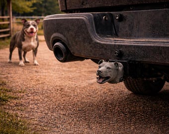 American Bulli (listed dog breed) trailer hitch cover 50 mm American Bulldog premium protective cap ball head accessory gift idea
