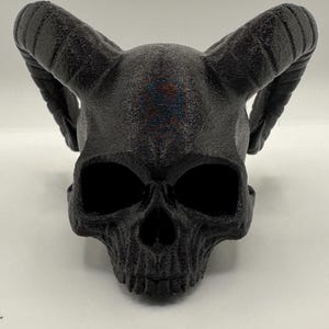 Peut inclure: Un crâne noir avec des cornes, le crâne a une surface texturée et des orbites vides.