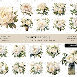 Watercolor White Peony Clipart Bundle, Peony Transparent PNG, Instant Download, Commercial Use | CLIP4