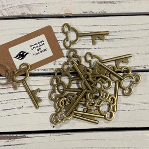 May include: A pile of gold-colored Mickey Mouse-shaped keys with a brown tag that reads "You received a Pixie Dust gift from 00000".